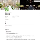 결혼준비 막막할 때 딱! 결혼식비용평균부터 스드메까지 한 번에 정리한 웨딩앤머니 웨딩노션 후기