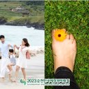 순천만 어싱길 맨발 걷기대회 이미지