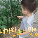 장동농장 이미지