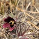 한재공원 이미지