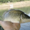 월척낚시터 이미지