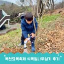 희망나무심기3 | 과실수묘목 찾아 옥천묘목축제까지 식목일나무심기 후기