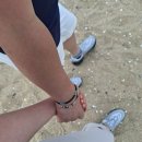 도직리 | 강릉 도째비골 스카이밸리, 바다 위에서 하늘을 걷다 (입장료·후기·주차정보)