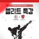 경희대 석사 엘리트 태권도장 이미지