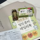 평택보건소2 | 신혼부부 혜택 평택보건소 [무료산전검사] 후기 준비물 임신준비 첫 단계