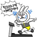 교촌치킨춘천 - 춘천시 금강로 24 | 교촌치킨춘천