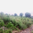 외송농장 이미지