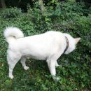 깍꼬뽁꼬 이미지