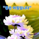 ♤손흥민 선수의 숨겨진 선행♧ 이미지