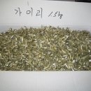 금하건어물 Daum카페