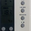 아날로그 둥지