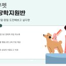 평택애견미용학원 이미지