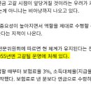 338005 네이버블로그