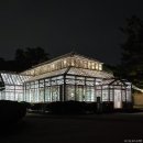 서울 4대궁 야간 개장 기간 및 예약 방법 이미지