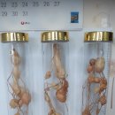 (주)성산유통 이미지