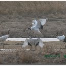 처음, 철원 이미지