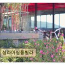 실라마실풀빌라 | 경주 숨은 펜션 실라마실풀빌라 조용하고 쾌적한 휴식 공간