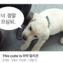 빵명가 네이버블로그