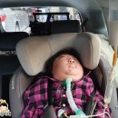 재성세차장 이미지