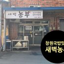 새벽농부 | 창원 국밥 맛집 새벽농부 혼밥 후기｜깔끔한 소고기국밥 한 그릇