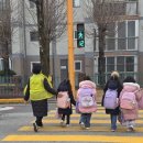 178 이미지