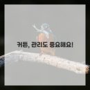 커튼이야기