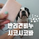 반려견비누 시코시코바 두달사용후기 ღ