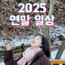 엠아이헤어 | 연말 일상 정리, 이제 보내줄게 나의 2025