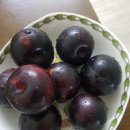 다인 카 모터스 이미지