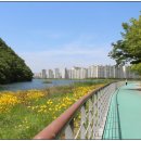 도원게이트볼장 이미지