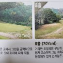 P-조일