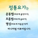 정통 호흡 요가 이미지