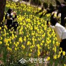 꽃들임 이미지