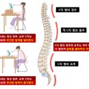 정직한 FIT 이미지
