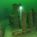 바다비행사 이미지