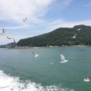 터미널그린약국 이미지