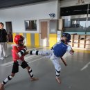 행복한 백호 태권도 이미지