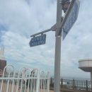 [국립수산과학원수산과학관] 부산 아이들과 함께 가기좋은 기장 국립 수산과학관 아쿠아리움