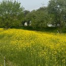 우리동네 하백 태권도 이미지