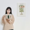 동춘콜렉션 이미지