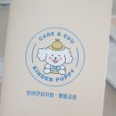 킨더퍼피 | 명지 반려견유치원 &#39;킨더퍼피&#39; 이용후기
