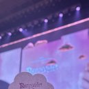 분당백현-D-13 | 백현 콘서트 레버리닷 막콘 B구역 후기