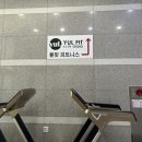 율핏