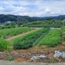 전원종합관리(주) 이미지