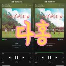 [다홍] 위키미키 Weki Meki [CoinciDestiny] 스트리밍 인증 이미지