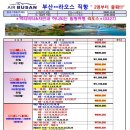(주)지니투어 네이버블로그