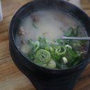 띠아모펜션