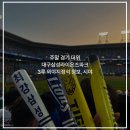 대구삼성라이온즈파크 3루 외야지정석 :: 주말 경기 화장실 달빛시리즈 KIA 원정석 더위