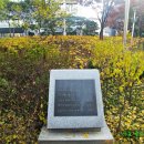 서울김집