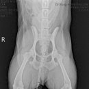 울산 이승진동물병원 이미지